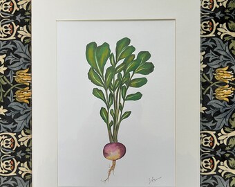 Turnip Print | Wall Art Decor | A4 | A3 | Watercolour Painted Vegetables