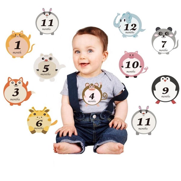 Baby Age Milestone Stickers | 12 Different Stickers | Suitable For Clothes, Scrapbooks, Blankets and lots of other uses