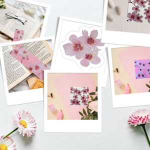 Set papeterie fleurs de cerisier • Carte aquarelle + marque-page + sticker • Lot floral poétique fait main • Idée cadeau doux et artisanal