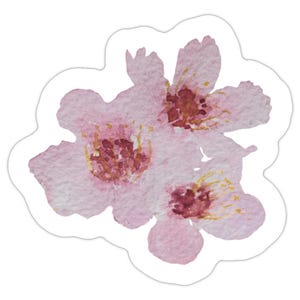 Sticker fleur de cerisier aquarelle • Autocollant floral poétique • Stickers papier fait main • Illustration douce • Papeterie artisanale