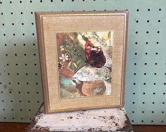 Álbum de fotos, carpeta, diario o cuaderno de mariposas vintage