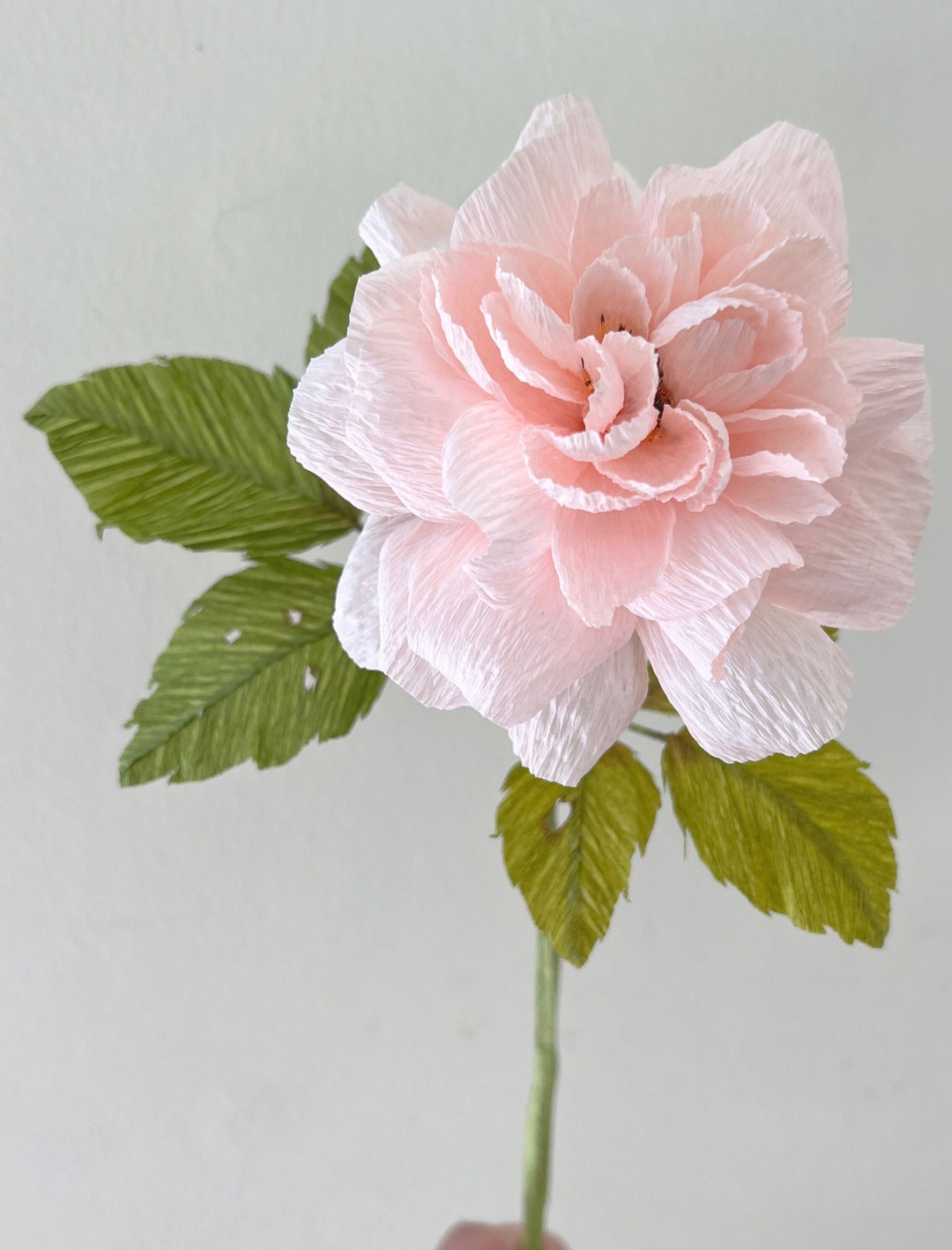 Crepe Garden Rose Etsy