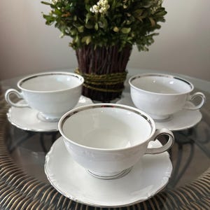 Porcelain Cup and Saucer Set by Winterling - (Charisma) Bavaria West Germany Dis 1979