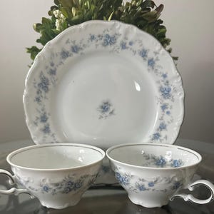 Bavaria rose teacup - Etsy 日本