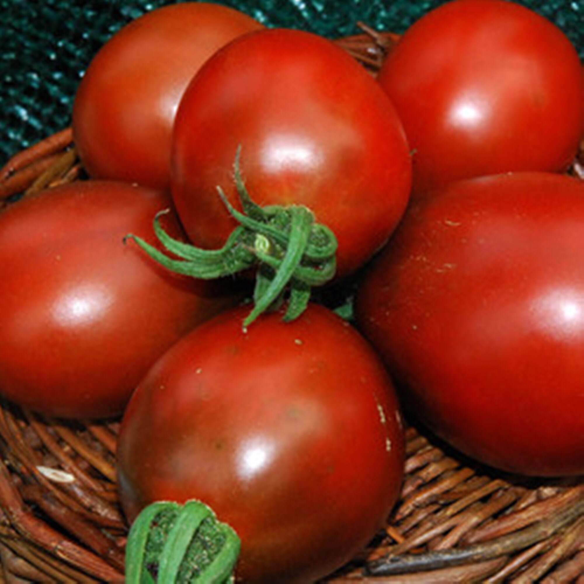 Japanese Black Trifele Tomato Seeds Rare Seeds Fresh Seeds Etsy