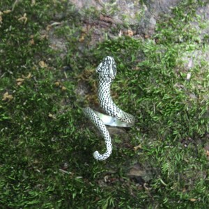 925 Sterling Silver Snake Ring, Unisex Ring, Adjustable