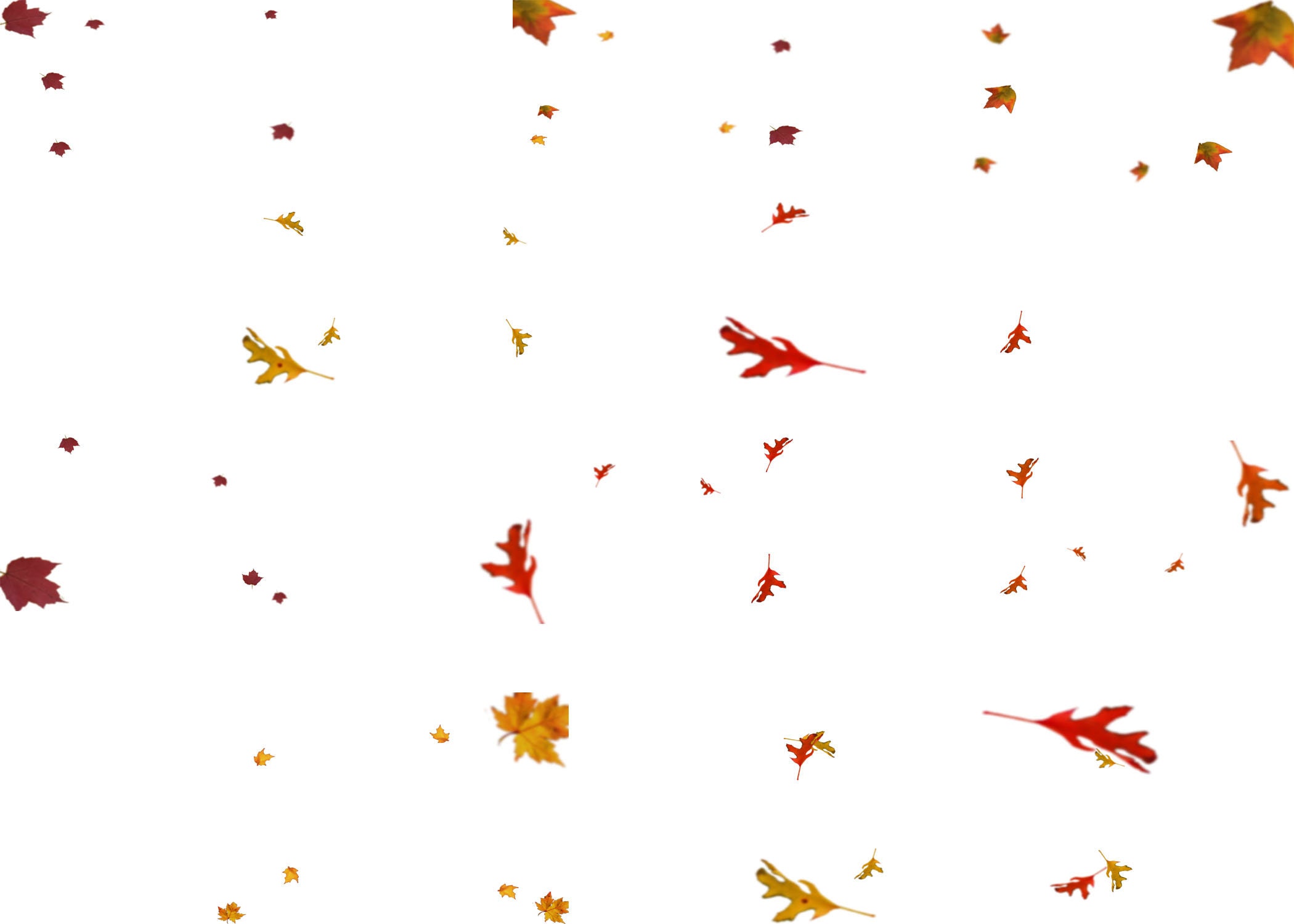 30 Leaf Overlays for Etsy