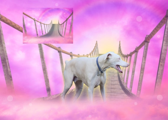 Dreamland hotsell pet memorial