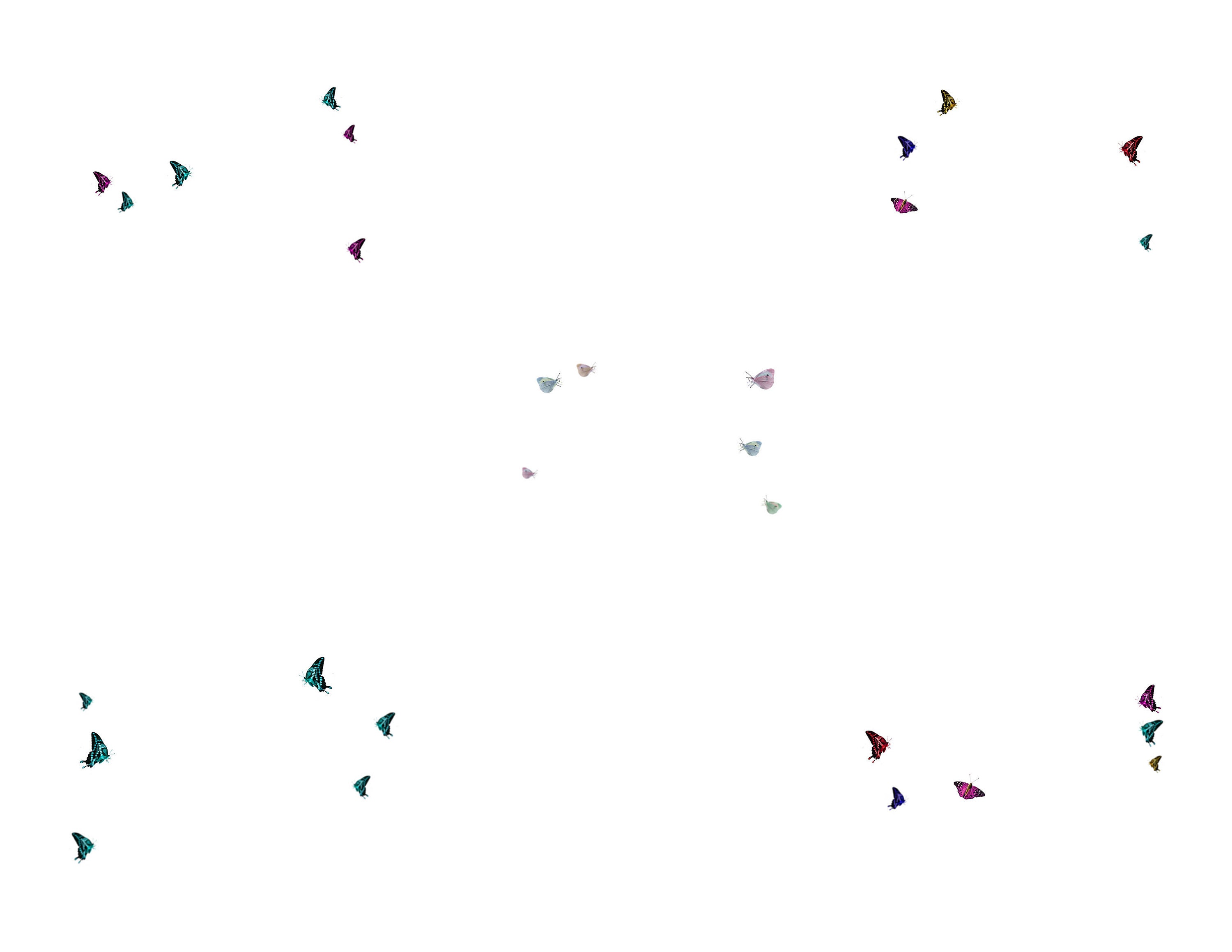 40 Butterfly Overlays, Flying Butterfly Photo Overlays, Butterfly PNG, Spring Summer Overlays