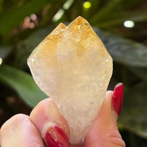Raw Citrine Point with Rainbows & Etchings,HT Rough Citrine Point,Abundance,Citrine Happiness,Success,Wealth, Vitality,Confidence,Positivity