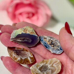 May include: Four small, polished agate geode slices with natural crystalline centers. One slice is deep purple, one is blue with white patterns, one is brown with white banding, and one is a pale beige with a textured, sparkling center.