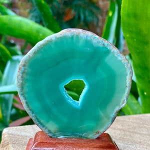 May include: A green agate slice with a hole in the center, displayed on a wooden stand. The agate has a natural, polished finish.