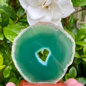 May include: A green agate slice with a natural hole in the center, displayed on a wooden stand. The agate has a smooth, polished surface and a translucent appearance.
