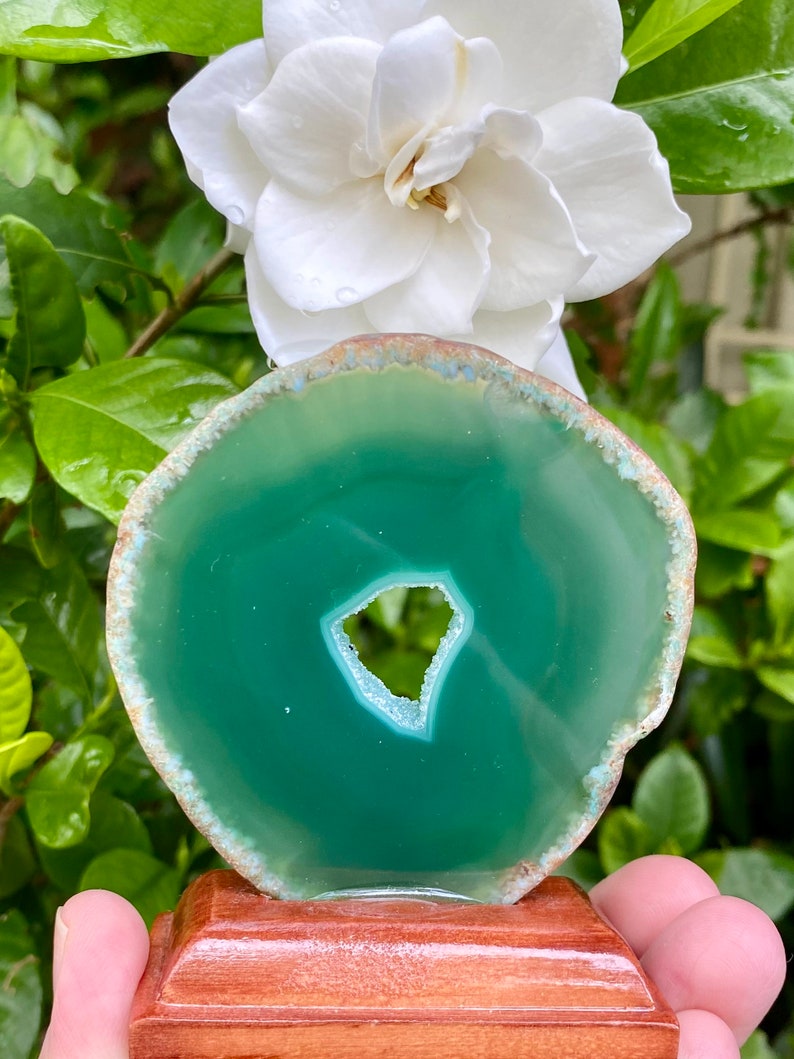 May include: A green agate slice with a natural hole in the center, displayed on a wooden stand. The agate has a smooth, polished surface and a translucent appearance.