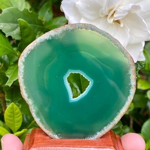Green Agate Slice on Stand, Dyed Green Agate from Brazil, Green Agate Crystal,Cleansing,Success, Abundance,Harmony, Courage, Protection,Love image 4
