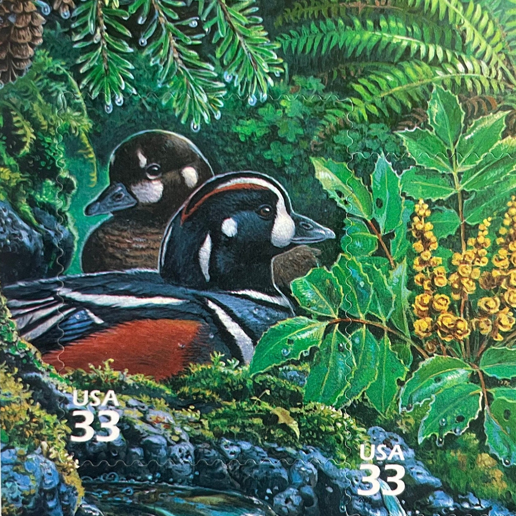 5 枚のハーレクイン ダック 33 セント ビンテージ郵便切手。アメリカの