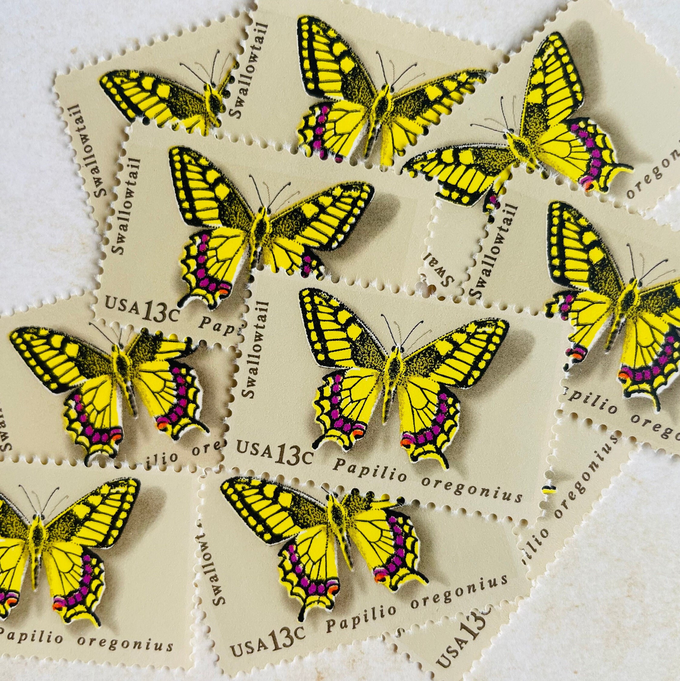 Butterfly Stamp Sheet, 50 Stamps, 13 Cent US Postage Stamps, 1977, Dogface,  Swallowtail, Orange-tip, Checkerspot 