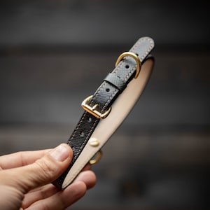 Handmade Dog Collar - Premium Callars for small to medium dogs
