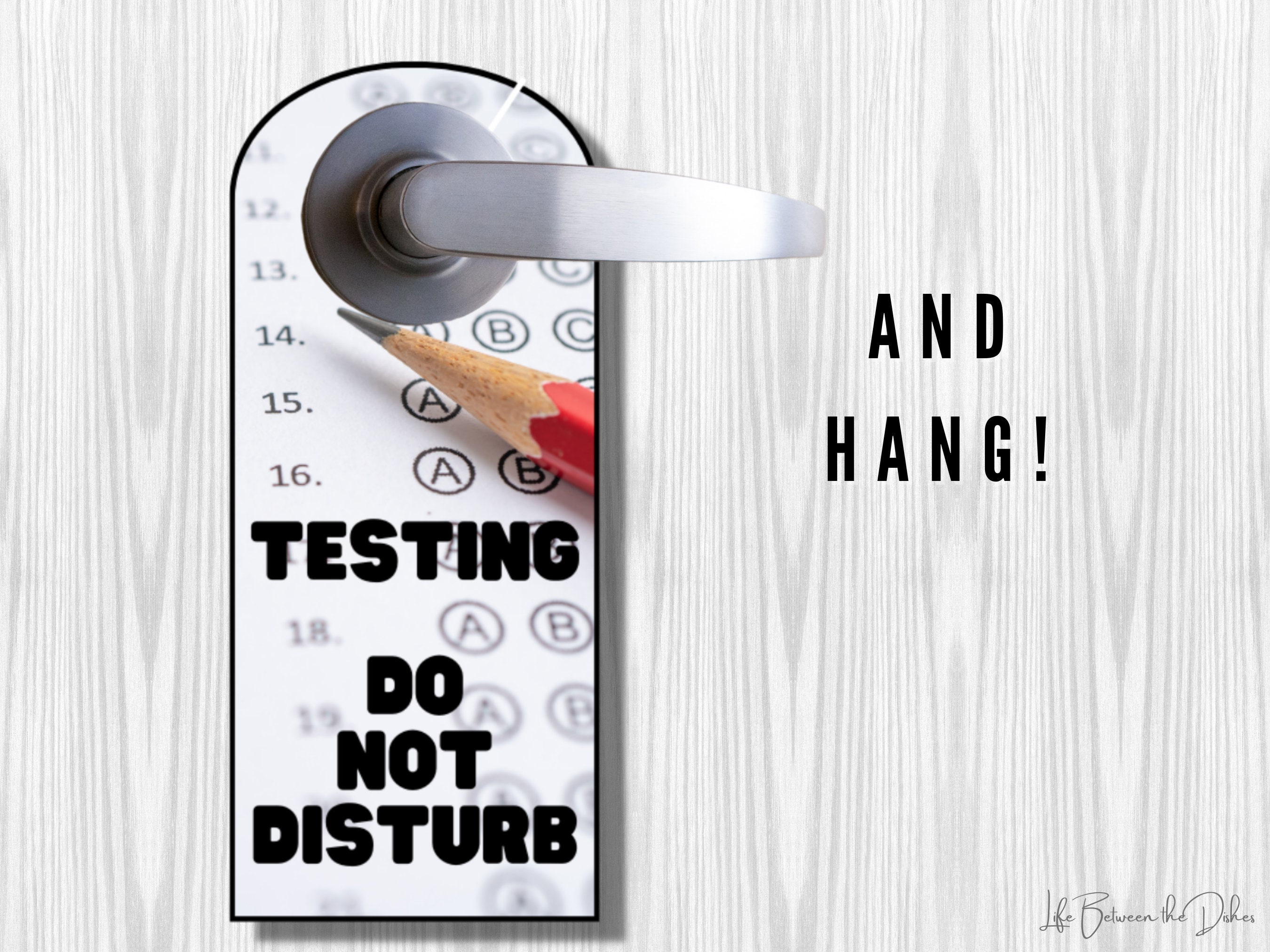 Testing Do Not Disturb Door Hanger Signsclassroom Sign Etsy
