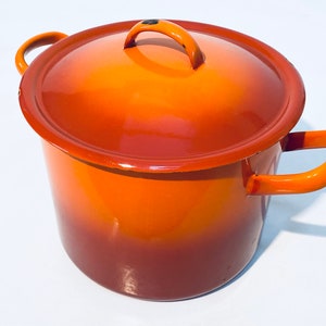 Pu&ograve; includere: Pentola smaltata arancione con coperchio e due manici. La pentola ha un gradiente di colore dall'arancione al marrone.