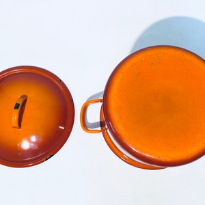 Pu&ograve; includere: Una pentola di smalto arancione con un coperchio abbinato. La pentola ha un'unica maniglia e il coperchio ha una maniglia a pomello.