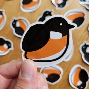 May include: A set of black and orange bird stickers. The birds are stylized and have a simple design. The stickers are perfect for adding a touch of whimsy to laptops, water bottles, or notebooks.