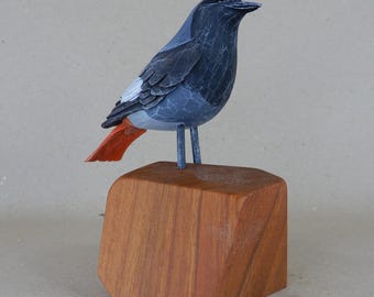 190. Black Redstart