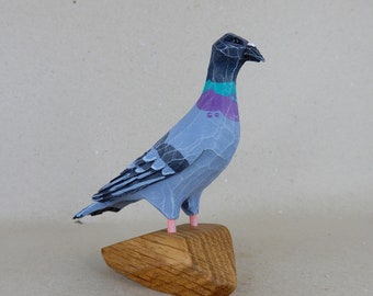 142. Feral Pigeon