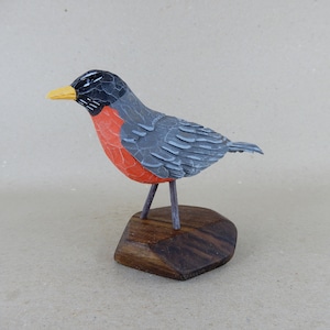 110. American Robin
