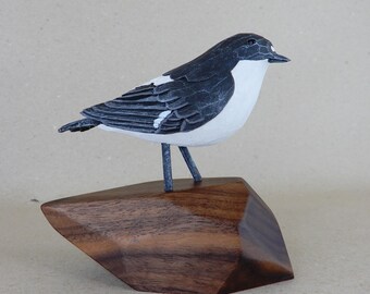 160. Pied Flycatcher