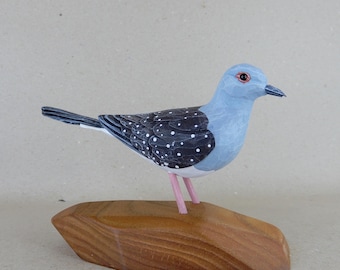 165. Diamond Dove