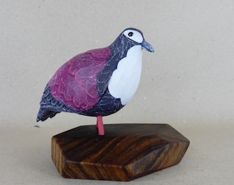 163. White Breasted Ground Dove