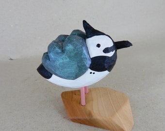 57S. Northern Lapwing