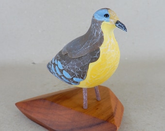 169. Cinnamon Ground Dove