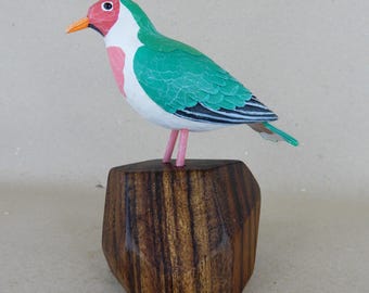 166. Jambu Fruit Dove