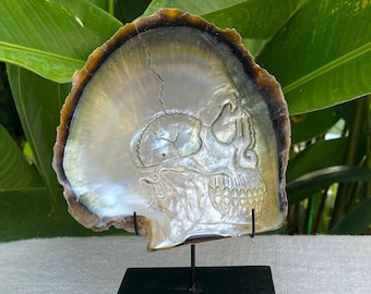 Shell Sea Shell Skull Motive carved mother of pearl Genuine natural Sea Shell Sea Pearl