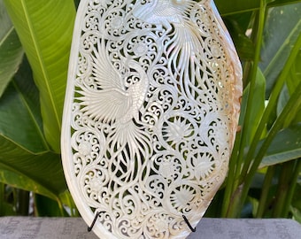 Concha de colibrí con flores talladas en nácar. Auténtica concha marina natural de 30 cm (12 pulgadas).