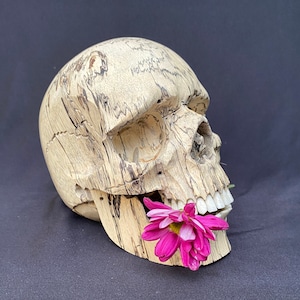 Human Skull, Skull, carved Wooden Skull, Wood Sculpture with flexible Jaw, Amazing Skulls, Skeleton