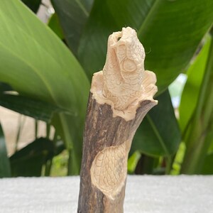 May include: A carved wooden sculpture of a snake's head and part of its body. The snake's head is detailed with scales and facial features. The sculpture is light brown and cream-colored, with a dark brown base. The background is blurred green foliage.