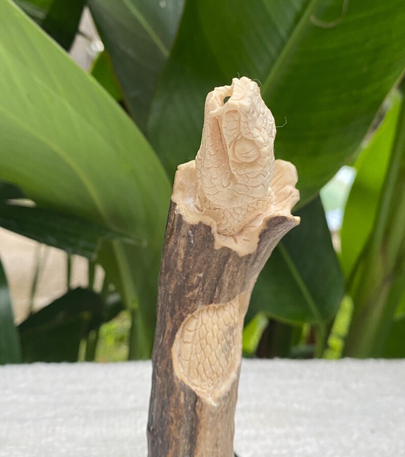 May include: A carved wooden sculpture of a snake's head and part of its body. The snake's head is detailed with scales and facial features. The sculpture is light brown and cream-colored, with a dark brown base. The background is blurred green foliage.