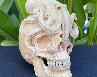 Tamarind Wood Carved Skull Sculpture with Octopus