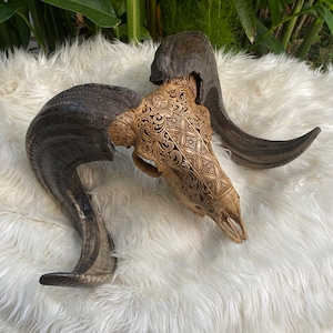 Ram Skull, Goat Carved Skull, Buffalo Skull, Carved Ram Skull,  Bull Skull Animal Skull