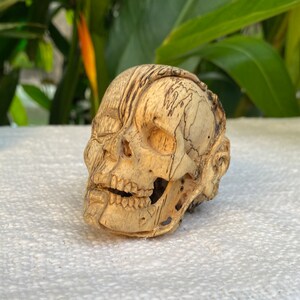 Mini Human Skull, with Hair and ears,  Wood Skull Wooden Skull Sculpture Amazing Skulls Skeleton Human Skull