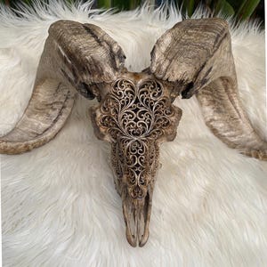 Ram Skull Goat Skull Carved Modern Design Horns Cow Skull Bull Skull Animal Skull 26"