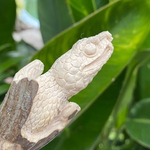 May include: A detailed carving of a reptile head, possibly a snake or lizard, in a light beige color. The carving is attached to a piece of wood. The background is blurred green foliage.