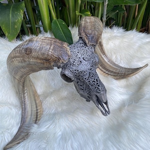Carved Ram Skull, Tree of Life Carving, Carved Goat Skull, Balinese Carving, Carved Skull
