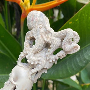 Octopus Skull, Knife Handle, Carved Knife Handle, Moose Handle, Moose Carving