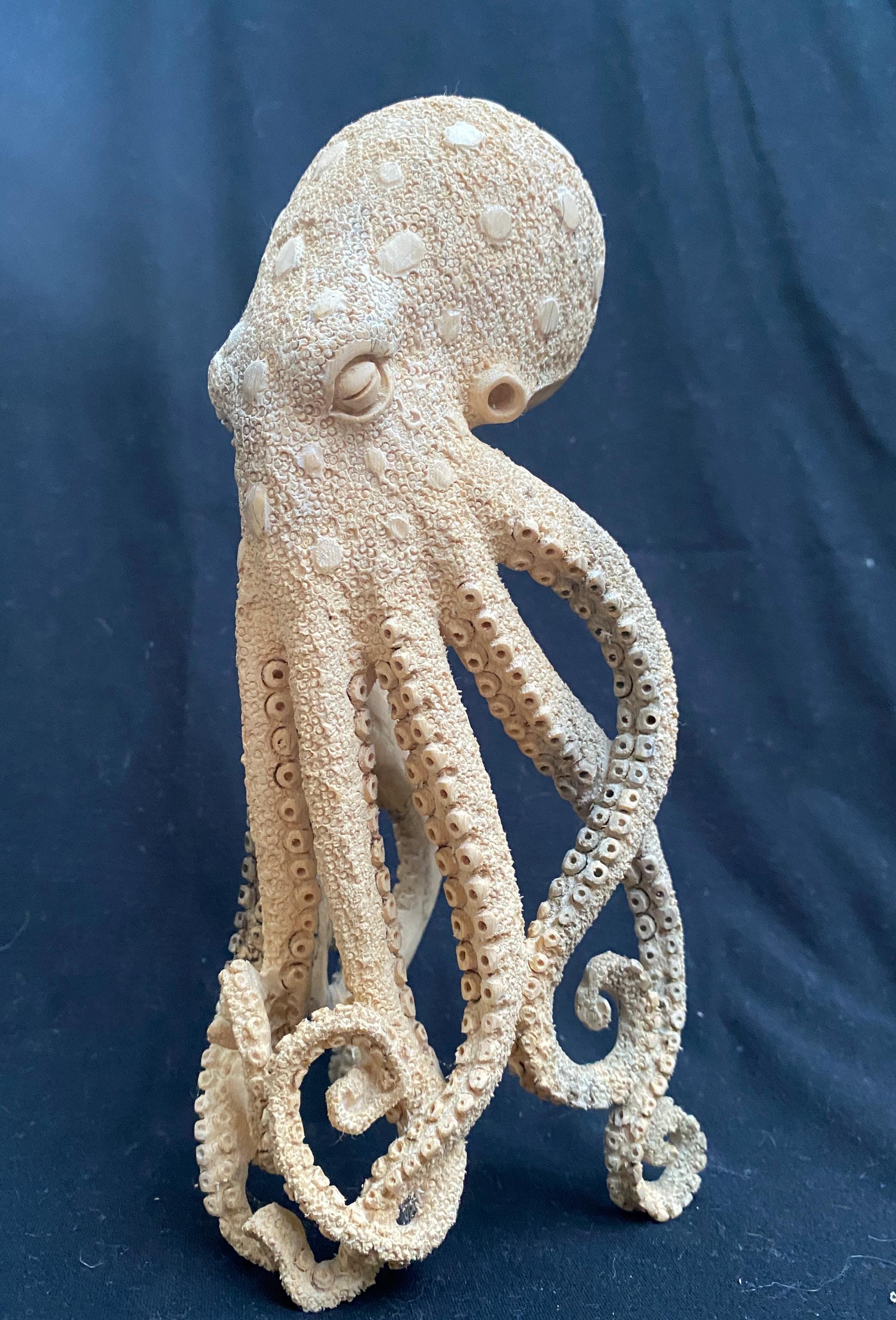 40三角蛤蟆頭 Hand Carved Tamarind Wood Skull: Octopus Antler Sculpture - Etsy
