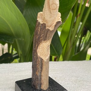 May include: A carved wooden sculpture of a fish on a dark wooden base. The fish is light-colored with detailed scales and fins. The sculpture is mounted on a dark, rectangular base, with a natural wood-grain texture.