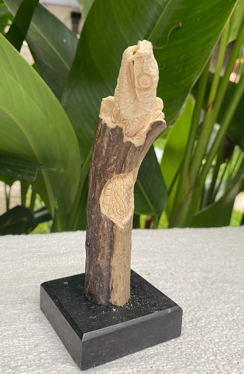 May include: A carved wooden sculpture of a fish on a dark wooden base. The fish is light-colored with detailed scales and fins. The sculpture is mounted on a dark, rectangular base, with a natural wood-grain texture.